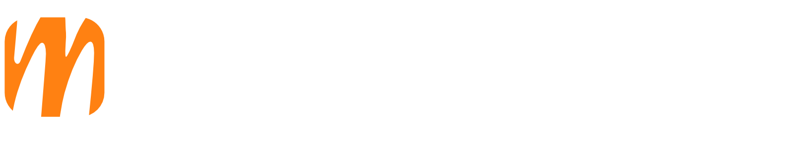 modelo Software